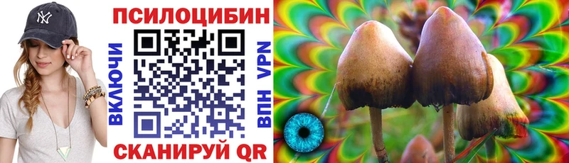 Галлюциногенные грибы Psilocybine cubensis  Нарьян-Мар 